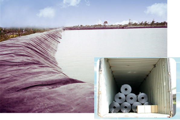 la economía circular, el revestimiento del estanque se está utilizando en estanques circulares...